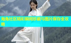 海角社区精彩瞬间珍藏与图片保存全攻略