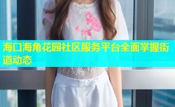 海口海角花园社区服务平台全面掌握街道动态