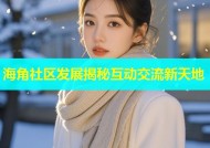 海角社区发展揭秘互动交流新天地