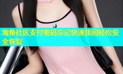 海角社区支付密码忘记快速找回轻松安全恢复